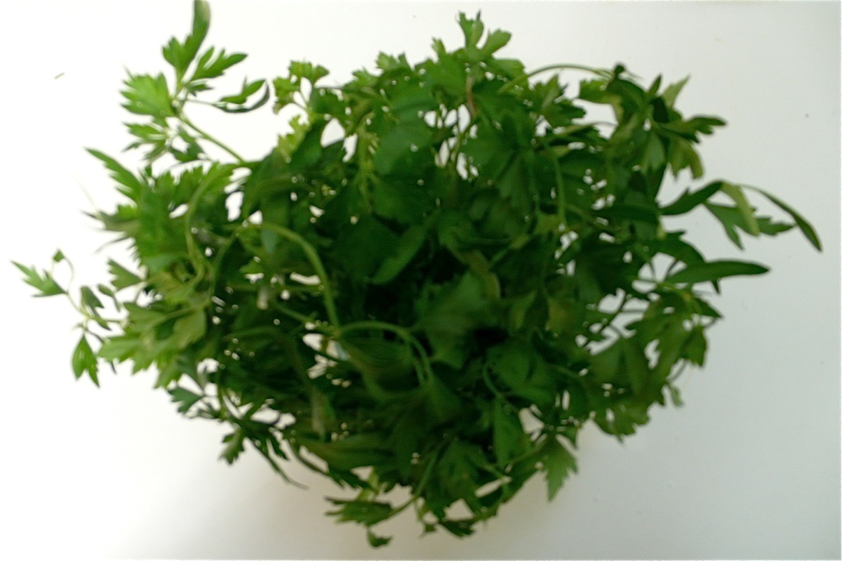 parsley2