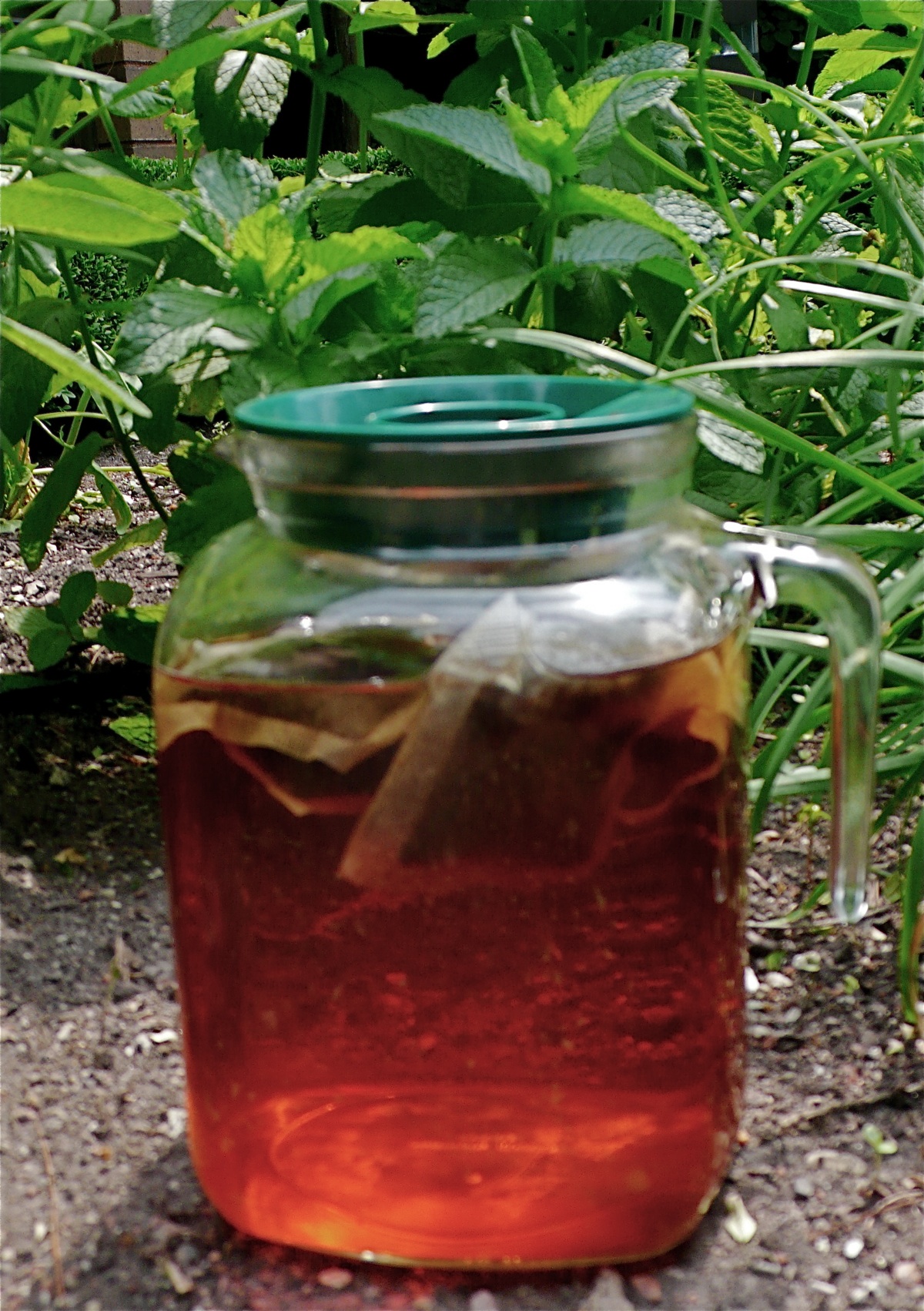 suntea